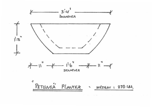 Petunia Planter Drawing