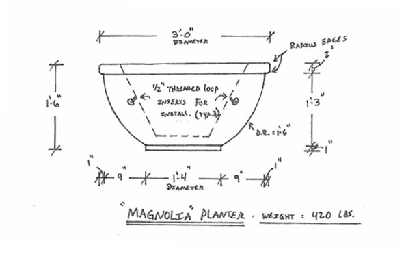 Magnolia Planter Drawing