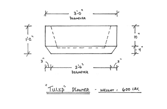 Tulip Planter Drawing